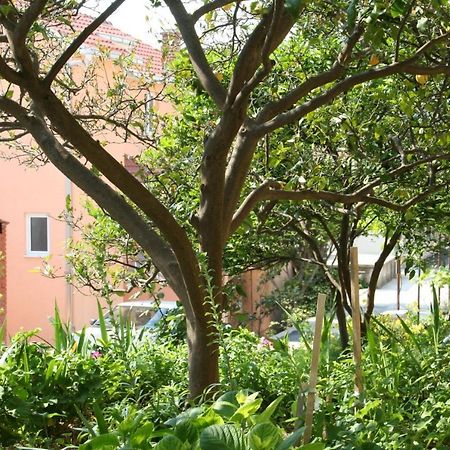Apartment Podgora 518B Eksteriør bilde